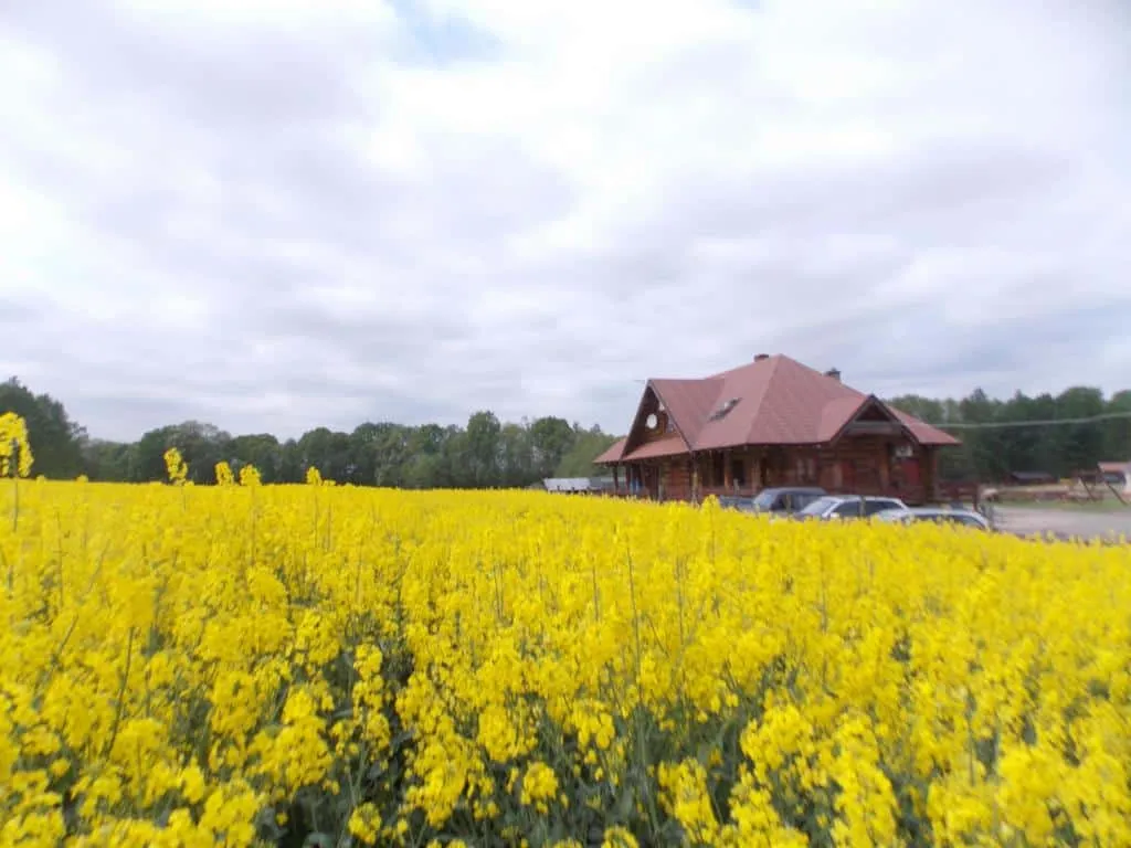 Ranczo Ostrowite