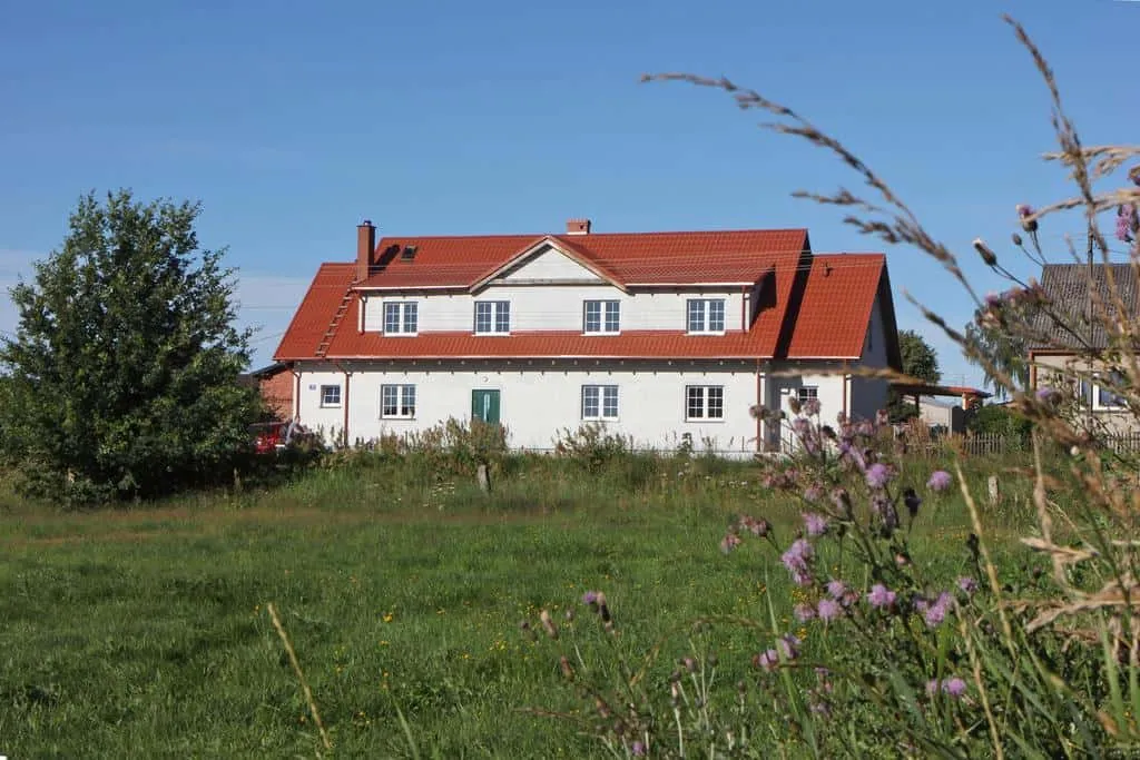 Zielony Kot