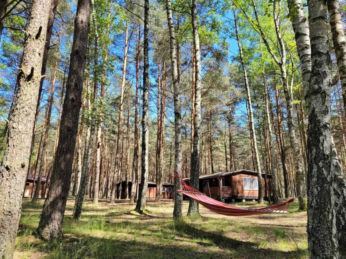 Domki Zacisze - Okoniny