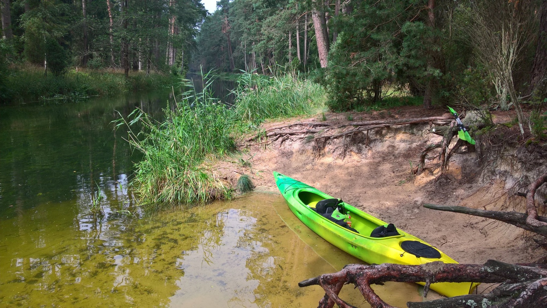 Kajaki na Brdzie przy Kozim Moście Kajaki na Brdzie przy Kozim Moście