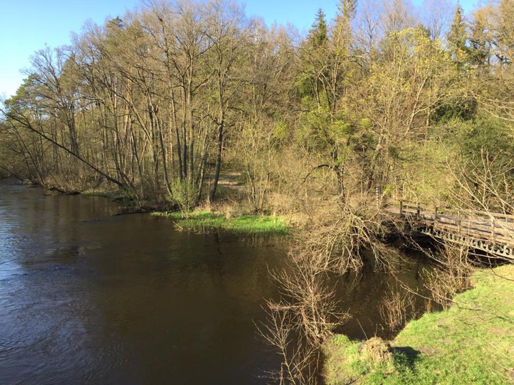 Brda i most przy ujściu Stążki w Świcie Brda i most przy ujściu Stążki w Świcie