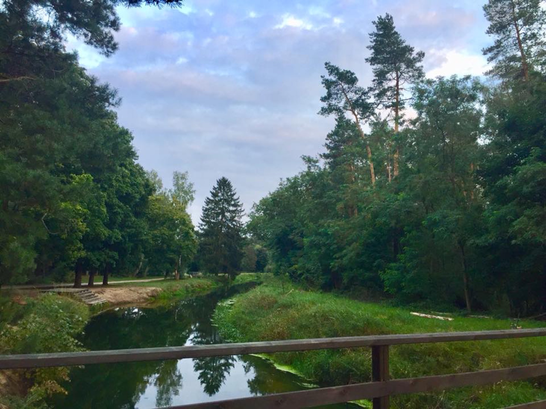 Mały mostek nad leśną rzeką