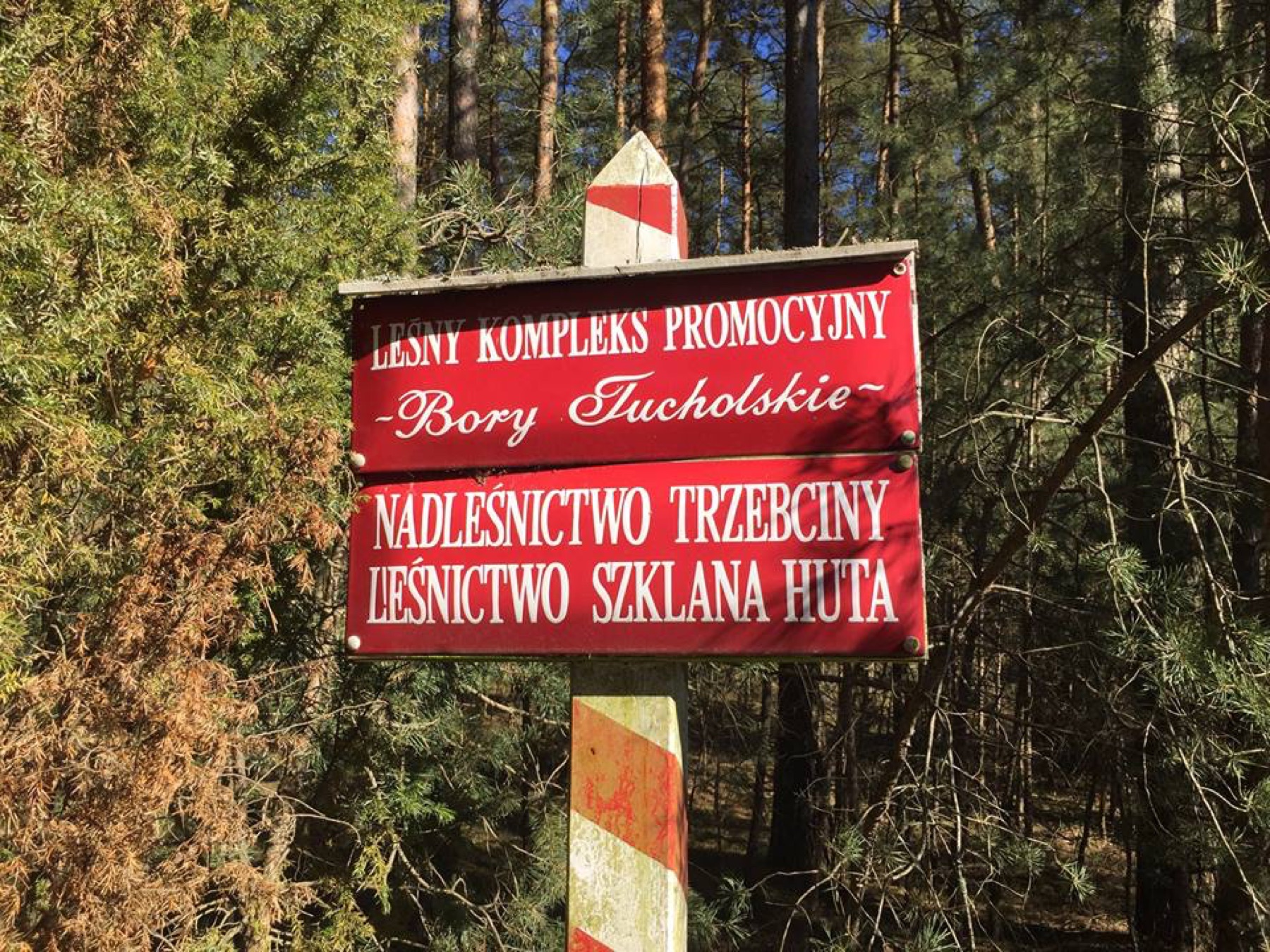 Okolice Trzebcin i Szklanej Huty