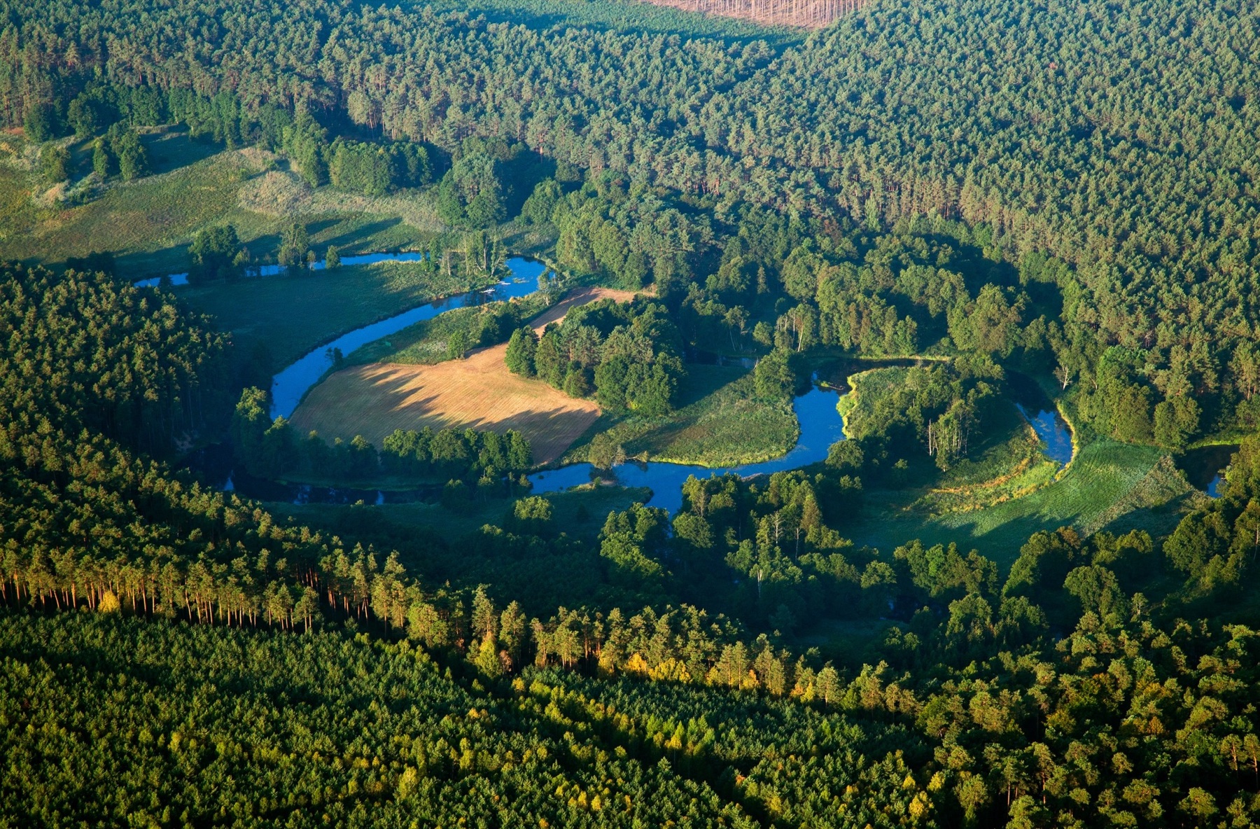 Zakola Brdy pod Tucholą z lotu ptaka